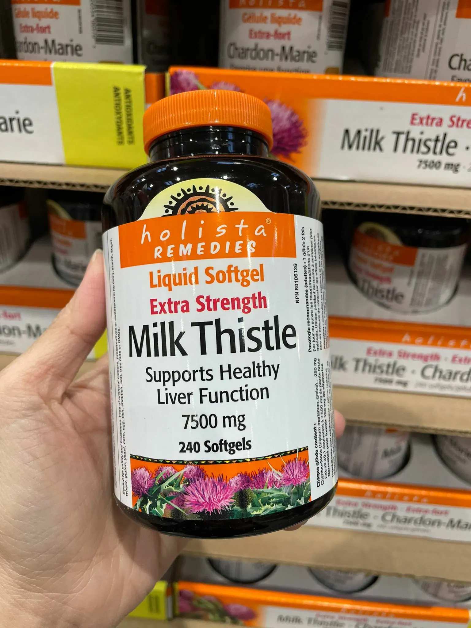مکمل بازسازی کبد چرب Milk Thistle هولیستا - ۲۴۰ عددی